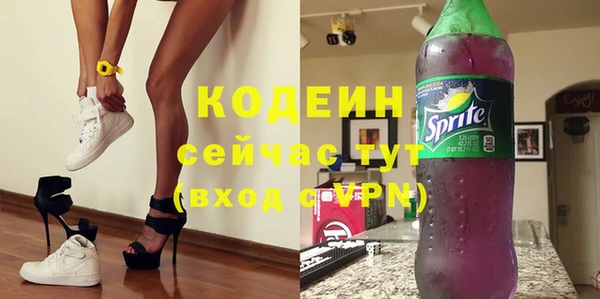 спиды Вяземский