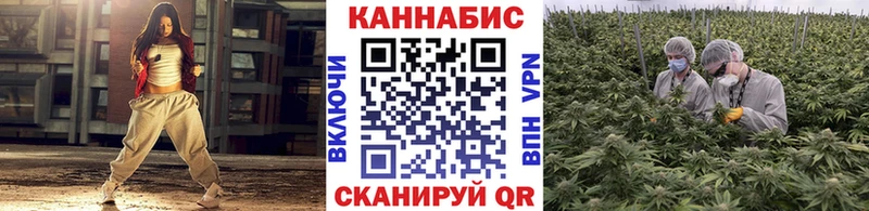 купить   нарко площадка состав  Бошки марихуана сатива  Калязин 